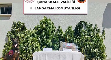 Çanakkale'de uyuşturucu operasyonu