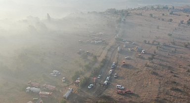 Çankırı'daki orman yangınıyla ilgili AFAD'tan açıklama: "Soğutma çalışmaları sürüyor"