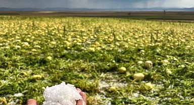 Çifteler 'de sağanak ve dolu yağışı etkili oldu