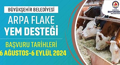 Denizli Büyükşehir büyükbaş hayvan üreticilerine yem desteği sağlayacak
