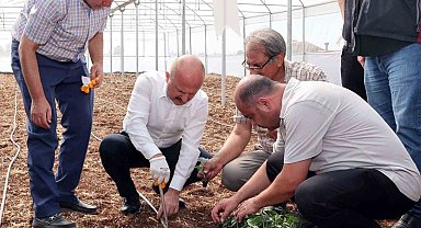 Devlet desteği ile kurulan seralar çiftçilere ciddi ekonomik katkı sağlayacak