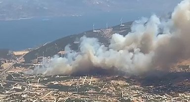 Didim'de makilik alanda yangın