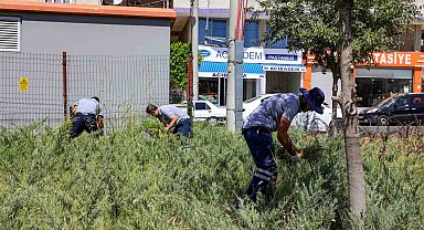 Diyarbakır'da park ve bahçelerde temizlik çalışmaları
