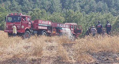 Domaniç'te yıldırım düşmesi sonucu yangın çıktı