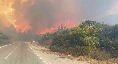 Eceabat'taki orman yangını büyüyor