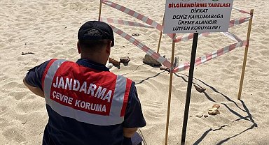 Edirne'de kaplumbağa üreme alanlarına denetim