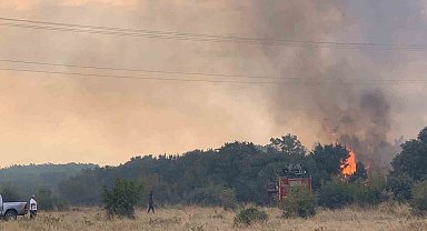 Edirne'de orman yangını anızlık alana sıçradı: 2 baraka zarar gördü