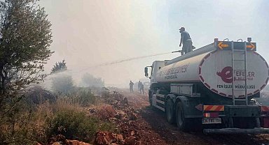 Efeler'in ekipleri yangınları söndürmek için çalışıyor
