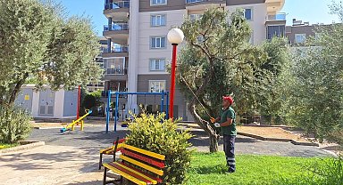 Efeler'in parkları yenileniyor