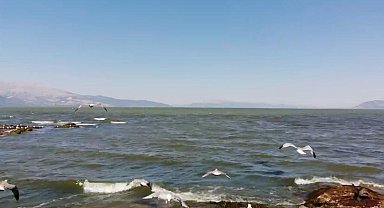Eğirdir Gölü su kirliliği martı popülasyonunu azaltıyor