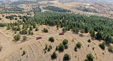 Elazığ'da orman ekipleri, havadan ve karadan denetimlerini sürdürüyor