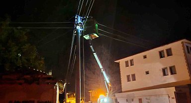 Elektrik direğine çarpan sürücü kayıplara karıştı