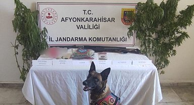 Evinin bahçesine kenevir eken şahısa jandarmadan operasyon