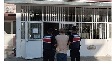 Fıstık hırsızlığına jandarmadan suçüstü: 3 tutuklama