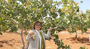 GastroAntep Kültür Yolu Festivali ile Gaziantep'in mutfak ve kültür zenginliği yeniden dünya sahnesinde