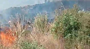 Gazipaşa'da bahçede çıkan yangın ekiplerinin müdahalesiyle söndürüldü