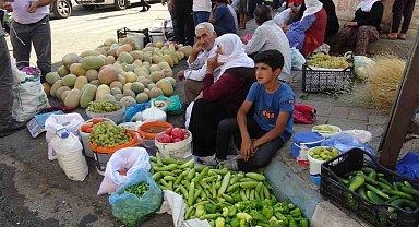 Gercüş'te organik ürünlerdeki bereket fiyatları düşürdü