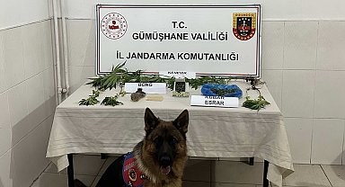 Gümüşhane'de Jandarma ekipleri aranan şahsı çatıda yakaladı
