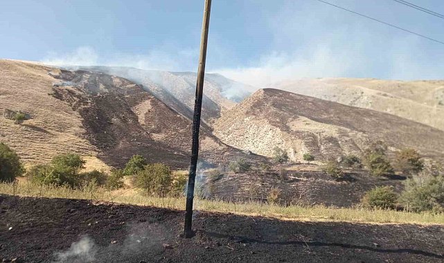 Hakkari'de makilik alanda yangın