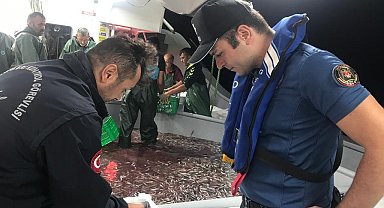 Hamsi avcılığına kota getirildi, gemi sahipleri için son başvuru tarihi 6 Eylül