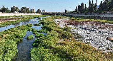 Hızlı tren köprüsü inşaatı nedeniyle DSİ, Seyhan Nehri yatağına su veremiyor