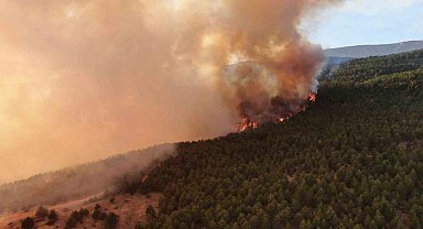 Ilgaz Dağı'nda gökyüzüne yükselen alevler havadan görüntülendi
