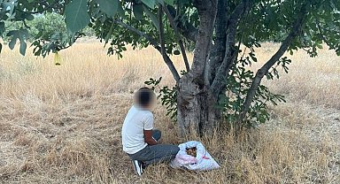 İncir hırsızı suçüstü yakalandı
