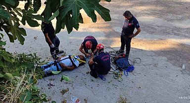 İncir toplarken ağaçtan düşerek, yaralandı