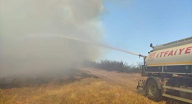 İpsala'daki orman yangında 200 dekarlık alan zarar gördü
