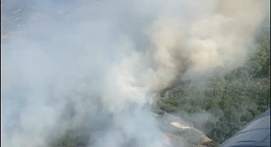 İzmir'de bir orman yangını daha