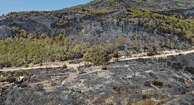 İzmir'de yanan yerler havadan görüntülendi