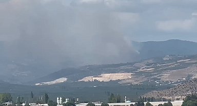 İznik'te korkutan orman yangını