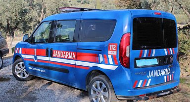 Jandarma incir hırsızlarına göz açtırmıyor