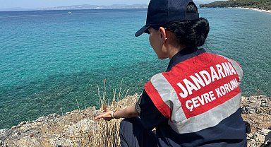 Jandarmadan 'endemik tür' devriyesi