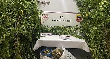 Jandarmadan uyuşturucuya geçit yok