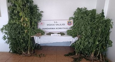 Jandarmadan uyuşturucuya geçit yok