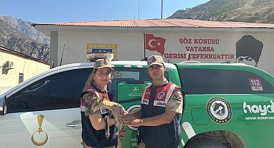 Jandarmadan yavru dağ keçisine şefkat eli