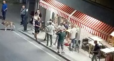 Kahvehanede çıkan tartışma kanlı bitti: Çocukluk arkadaşını vurdu
