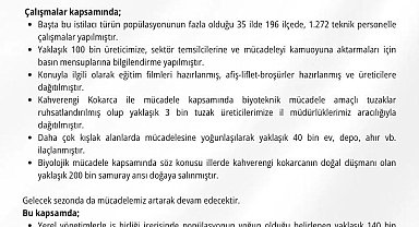 Kahverengi kokarca ile mücadele için 300 bin samuray arısı doğaya salınacak