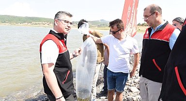 Kapıdağ'da bulunan gölete 50 bin sazan balığı salındı