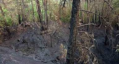 Karabük Ovacık'taki orman yangını kontrol altına alındı