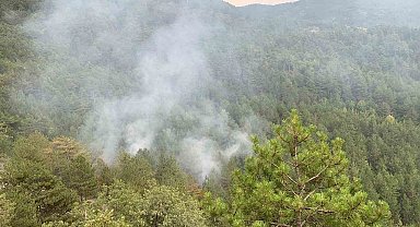 Karabük'te düşen yıldırım orman yangını çıkardı