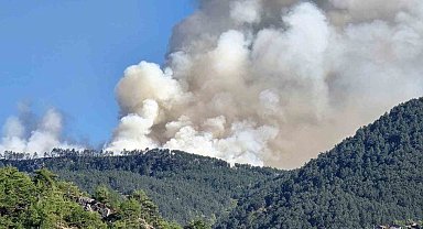Karabük'te orman yangını
