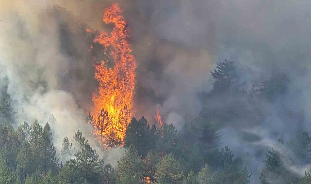 Karabük'teki yangın devam ediyor