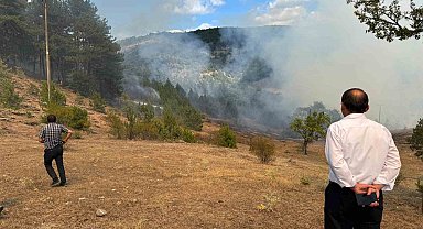 Kastamonu'daki orman yangını söndürüldü