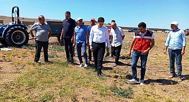 Kaymakam Gedik, nohut hasat kontrollerine katıldı