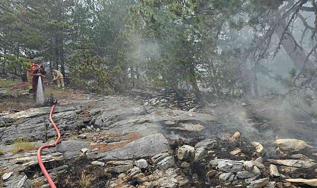 Kazdağları'nda yangına havadan müdahale sürüyor