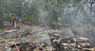 Kazdağları'nda yangına havadan müdahale sürüyor
