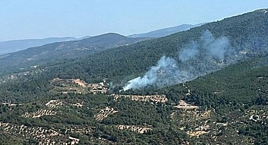 Kemalpaşa yangını kontrol altında