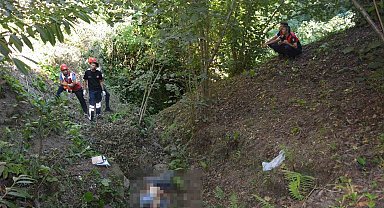 Kökünden kopan incir ağacı yaşlı adamın sonu oldu